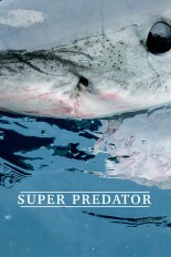 Super Predator