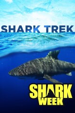 Shark Trek