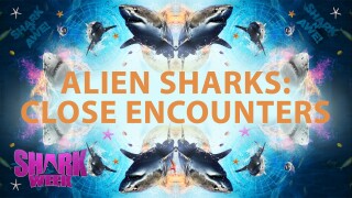 Alien Sharks: Close Encounters