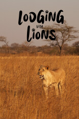 Lodging With Lions