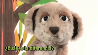 ¿Cuál es la diferencia?