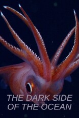 The Dark Side of the Ocean