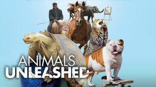 Animals Unleashed