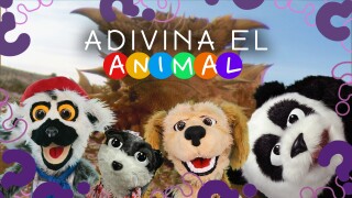 Adivina el animal