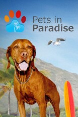 Pets in Paradise
