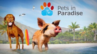 Pets in Paradise