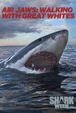 Air Jaws: Walking With Great Whites