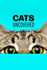 Cats Uncovered