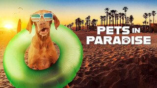 Pets in Paradise