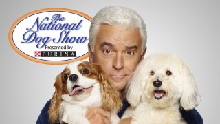 The National Dog Show