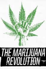 The Marijuana Revolution