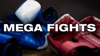 Mega Fights