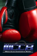 Fight Sports: Boxing