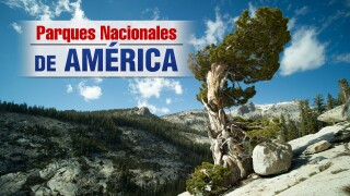 Parques nacionales de América