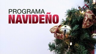 Programa Navideño