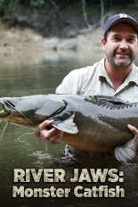 River Jaws: Monster Catfish