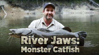 River Jaws: Monster Catfish