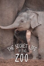 The Secret Life of the Zoo