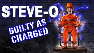 Steve-O: Guilty as Charged