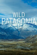 Wild Patagonia