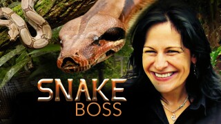 Snake Boss