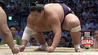 Fight Sports: Grand Sumo