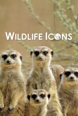 Wildlife Icons