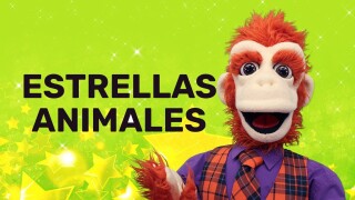 Estrellas Animales