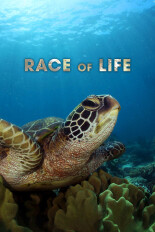 Race of Life