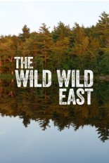 Wild Wild East