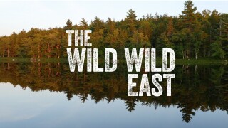 Wild Wild East