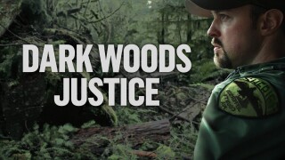 Dark Woods Justice