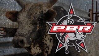 PBR Bull Riding