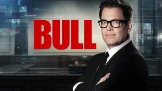 Bull