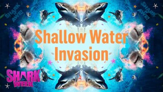 Shallow Water Invasion