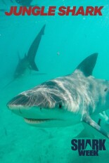 Jungle Shark
