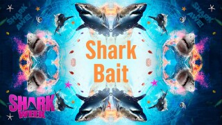 Shark Bait