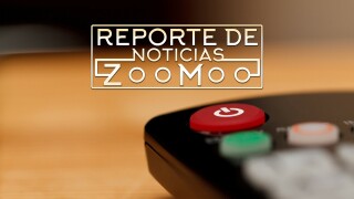 Reporte de Noticias ZooMoo