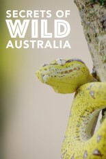 Secrets of Wild Australia