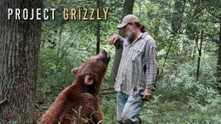 Project Grizzly