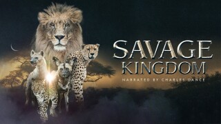 Savage Kingdom