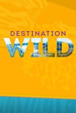 Destination Wild