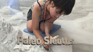 Paleo Sleuths