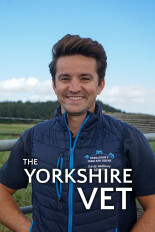 The Yorkshire Vet