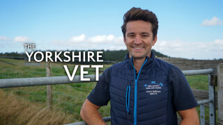 The Yorkshire Vet