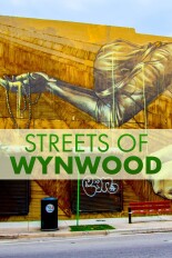 Streets of Wynwood