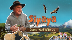 Siyaya Come Wild With Us