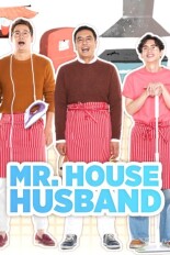 Mr. House Husband