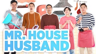 Mr. House Husband