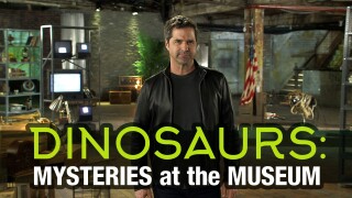 Dinosaurs: Mysteries at the Museum